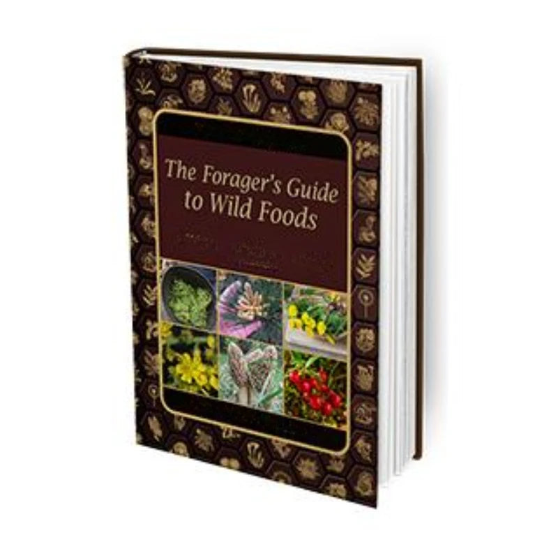 4 Health Books , Cookbook/Herbal/Survival/Building