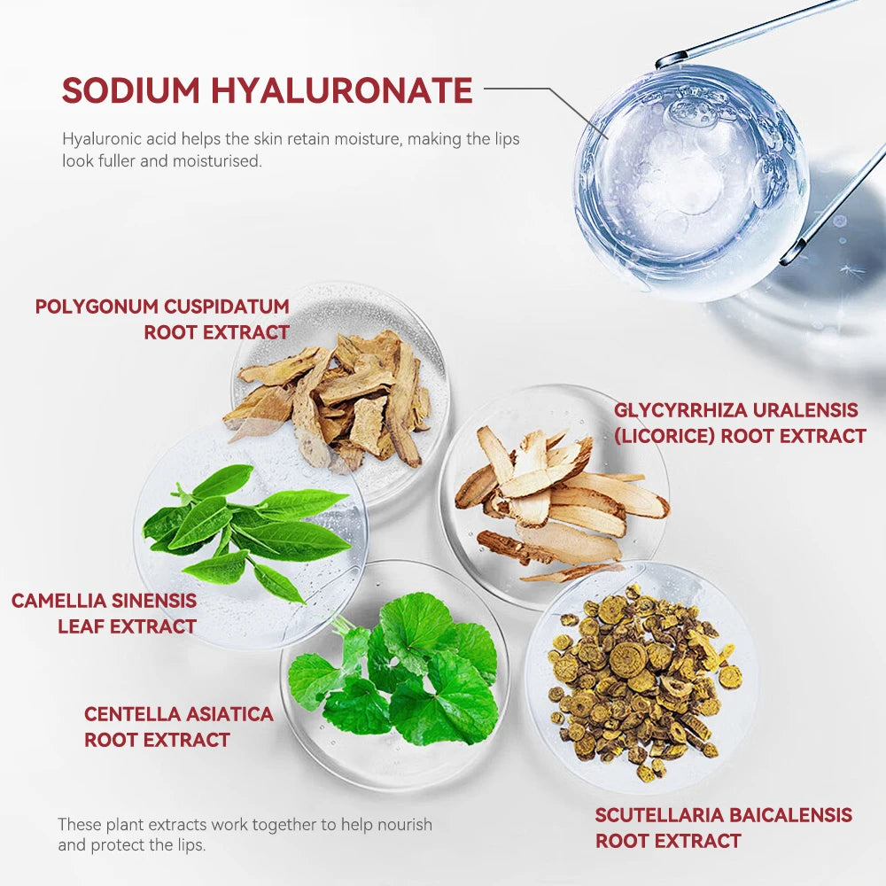 Peel Off Waterproof Lip Gloss Matte - Tinted