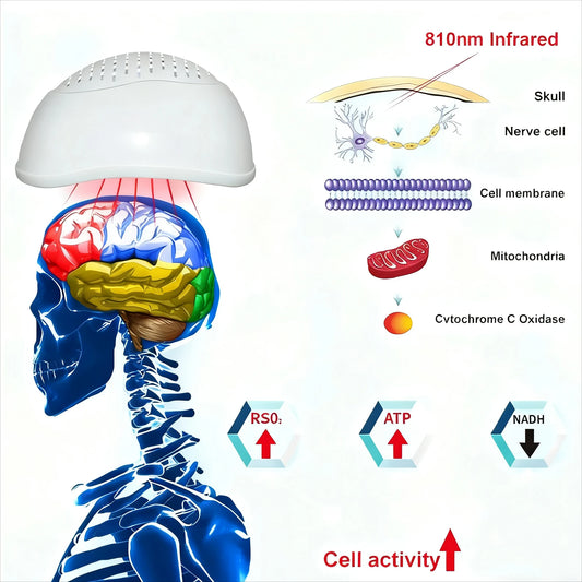 Photobiomodulation Brain Helmet Non-Invasive Infrared Light Therapy