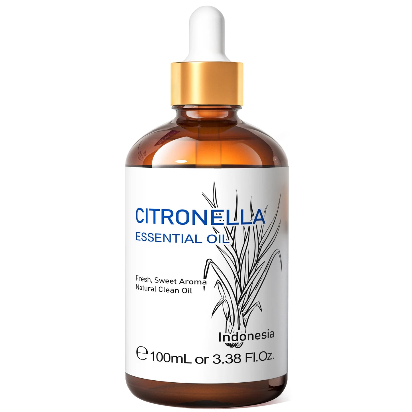 Camphor Oils - Repellent, Stabilizing Emotions, Fatigue, Diffuser