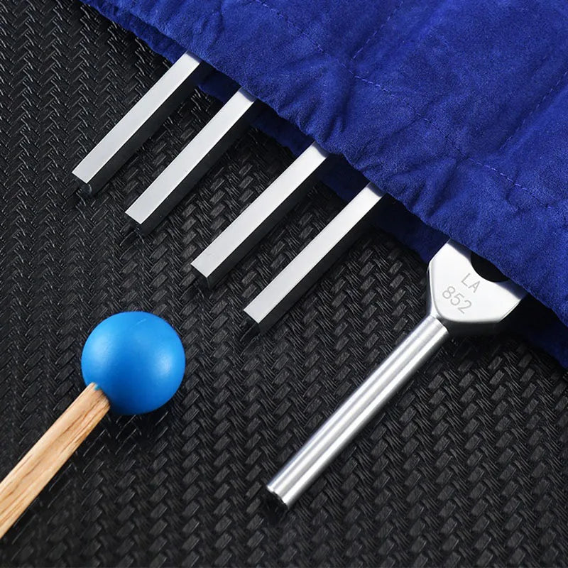 Chakra Tuning Fork Sound Therapy